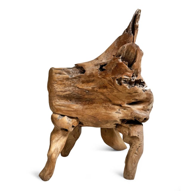 Vintage Organic Modern Teak Root Chair For Sale - Image 4 of 6