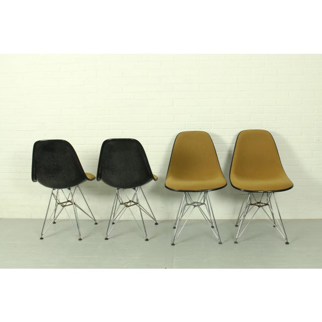 1960s Yellow DSR Dining Chairs by Charles & Ray Eames for Herman Miller, 1960s, Set of 4 For Sale - Image 5 of 13