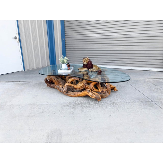1960s 1960s Mid-Century Modern Driftwood Coffee Table With Freeform Glass Top For Sale - Image 5 of 15