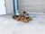 1960s 1960s Mid-Century Modern Driftwood Coffee Table With Freeform Glass Top For Sale - Image 5 of 15