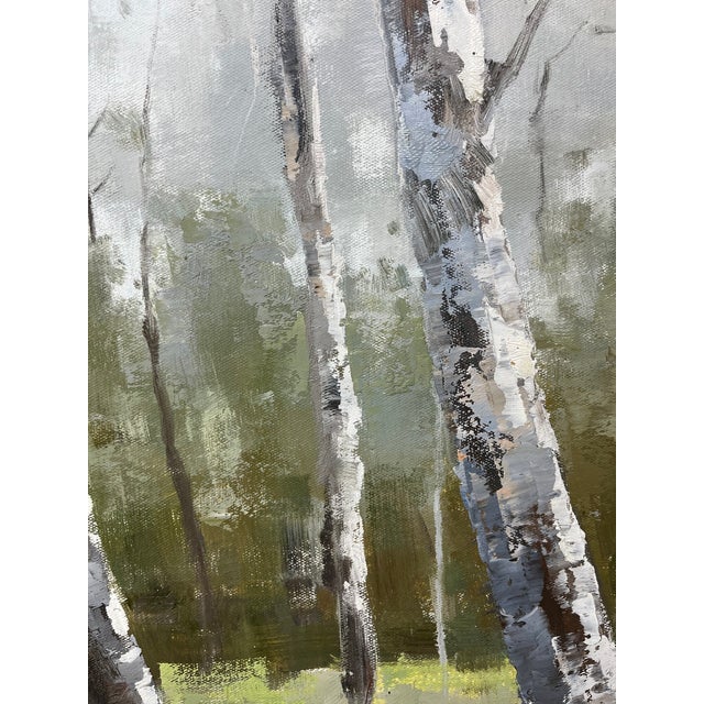 Birch Tree Impressionistic Landscape Original Oil Painting For Sale - Image 10 of 11