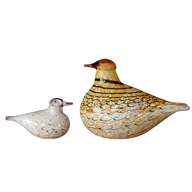 Iittala Oiva Toikka Glass Birds - a Pair | Chairish