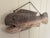 American Early 20th Century New England Folk Art Hand-Carved Wooden Fish Trade Sign For Sale - Image 3 of 12