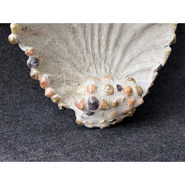 Vintage Coastal Seashell Encrusted Wall Bracket a Pair For Sale - Image 4 of 17
