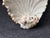 Vintage Coastal Seashell Encrusted Wall Bracket a Pair For Sale - Image 4 of 17