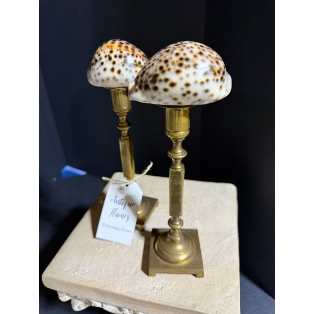 Mid-Century Modern Celestial Meets the Sea Shell Topped Brass Candlesticks-Coastal Art Sculpture For Sale - Image 3 of 5