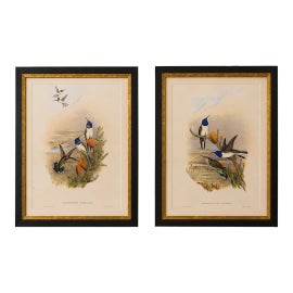 Example of Gold-Plate Prints