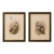 1990s John Gould Framed Print Hill House Edition Framed Pair of Hummingbirds, Plate 69 & 69 For Sale