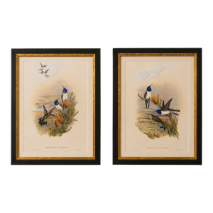 1990s John Gould Framed Print Hill House Edition Framed Pair of Hummingbirds, Plate 69 & 69