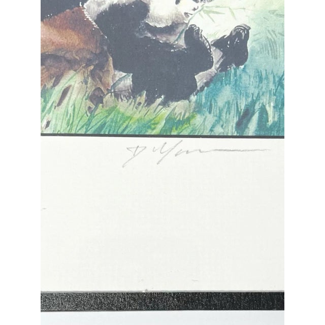 Dong Liang Yuan Set of 4 Framed & Matted Small Signed “Panda” Prints For Sale - Image 14 of 16
