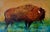 Monika Rossa, Bison, 2026, Oil on Canvas For Sale - Image 4 of 4