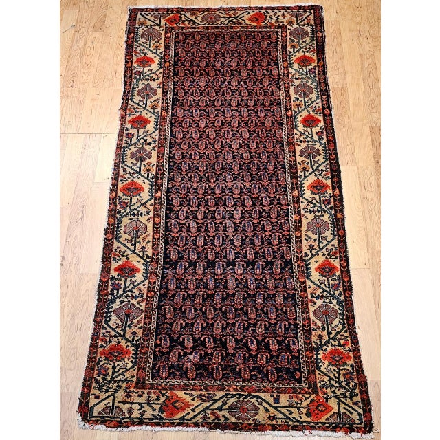 "This beautiful late 19th century Kurdish Gallery rug features a captivating all over paisley design field, which creates...