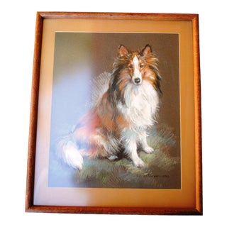 Late 20th Century Sheltie Collie Dog Charcoal Portrait Drawing by S. K. Cooper, Framed For Sale