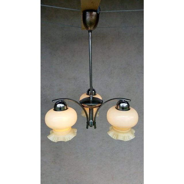 1950s Vintage No.8119 Chandelier from Napako For Sale - Image 5 of 18