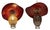 Contemporary Red Murano Swirl Art Glass Shade and Amber Beads Pendant Lamp For Sale - Image 3 of 18