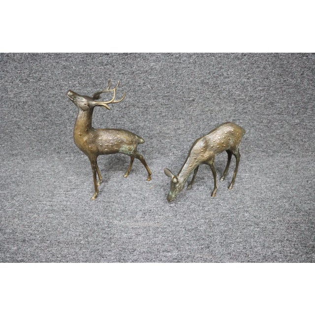 Mid 20th Century Mid Century Bronze Deer/Pair For Sale - Image 5 of 6