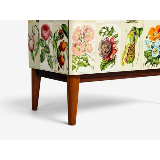 Swedish Modern, La Belgique Horticole Cabinet, Mahogany, Sweden, 1950s For Sale - Image 12 of 13