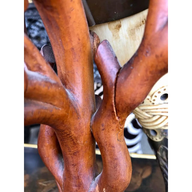 Pair of Anglo-Indian Mounted Steer Horns For Sale - Image 12 of 13