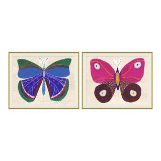 Blue & Pink Butterflies Art Print in Gold Frame by Paule Marrot - Set of 2 For Sale