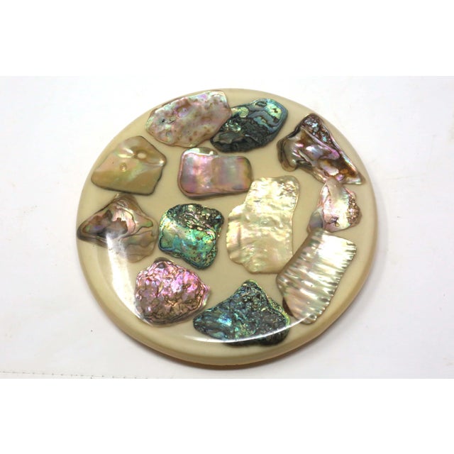 1970's Abalone Shell Trivet For Sale In Tampa - Image 6 of 6