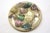 1970's Abalone Shell Trivet For Sale In Tampa - Image 6 of 6