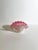1960s Pink Alabastro Murano Glass Clam Shell Bowl from Seguso, Italy, 1960s For Sale - Image 5 of 11