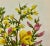 Yellow Antique W. Dickes & Co. Botanical Print From England Showcasing Yellow & Pink Varieties of Furze, Greenweed and Harrow Flowers - Circa 1870 For Sale - Image 8 of 12