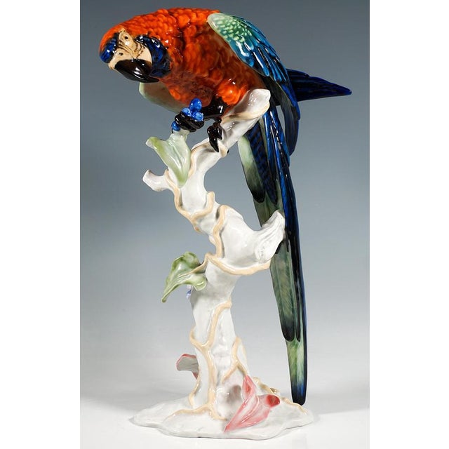 Rosenthal Large Mid-Century Porcelain Macaw on Trunk from Rosenthal, Germany, 1957 For Sale - Image 4 of 9