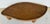 Contemporary Revelation Organic Modern Walnut Finished Leaf It to You Coffee Table For Sale - Image 3 of 6