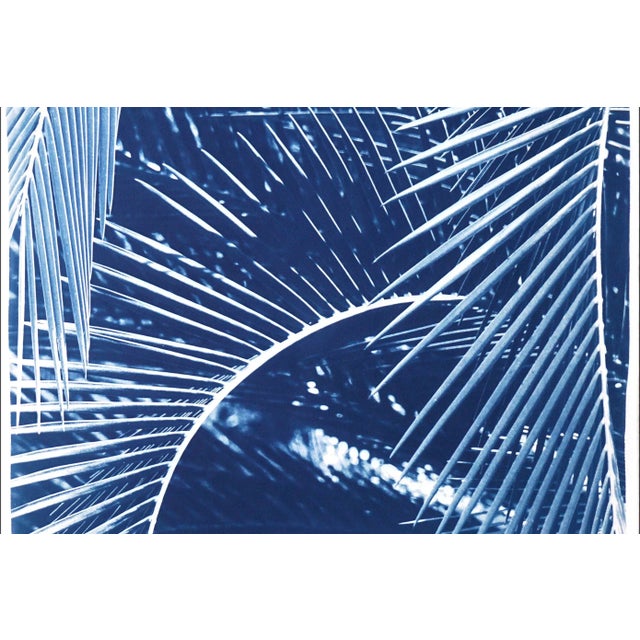 2020s 2021 "Tropical Palm Branches" Handmade Cyanotype Print on Watercolor Paper by Kind of Cyan For Sale - Image 5 of 11
