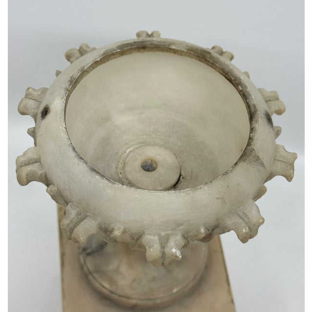 19th Century Grand Tour NeoClassical Alabaster Carved Urn For Sale - Image 18 of 18