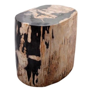 Large Oval Petrified Wood Accent Table or Side Table 1 For Sale