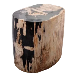 Large Oval Petrified Wood Accent Table or Side Table 1