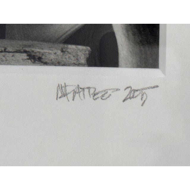 Contemporary Antler Study Photograph, Signed For Sale - Image 11 of 12