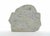 Sirio Pellegrini, Fossil Sculpture, 1960s, Terracotta For Sale - Image 4 of 6