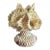 Vintage South Pacific Cowrie Shell Vase For Sale