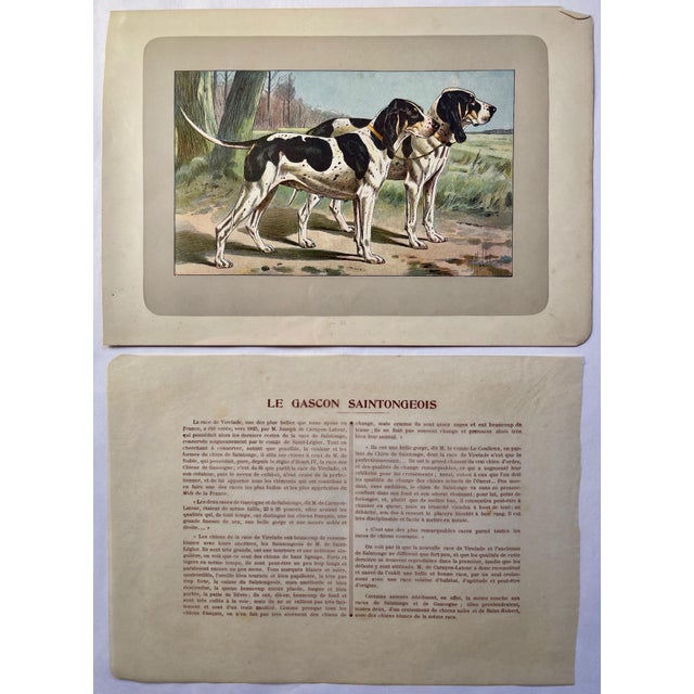 This handsome photogravure printed page is illustrated by P. Mahler, a German artist. The subject is of two Gascon...