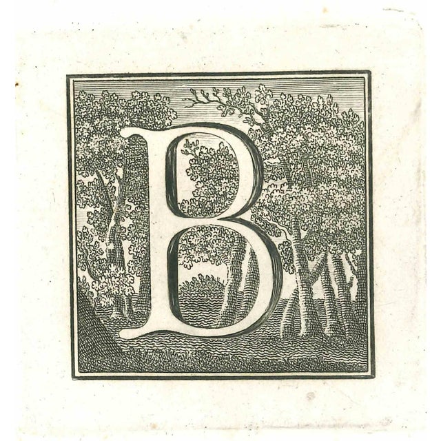 Capital letter for the antiquities of herculaneum exposed, original etching from the end of the 18th century, made by...