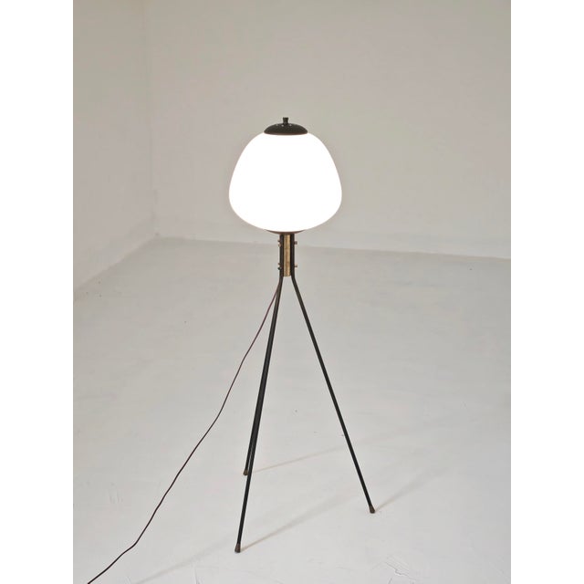 Mid-Century Modern Tripod Floor Lamp in Brass and Opaline Glass, Italy, 1960 For Sale - Image 4 of 14