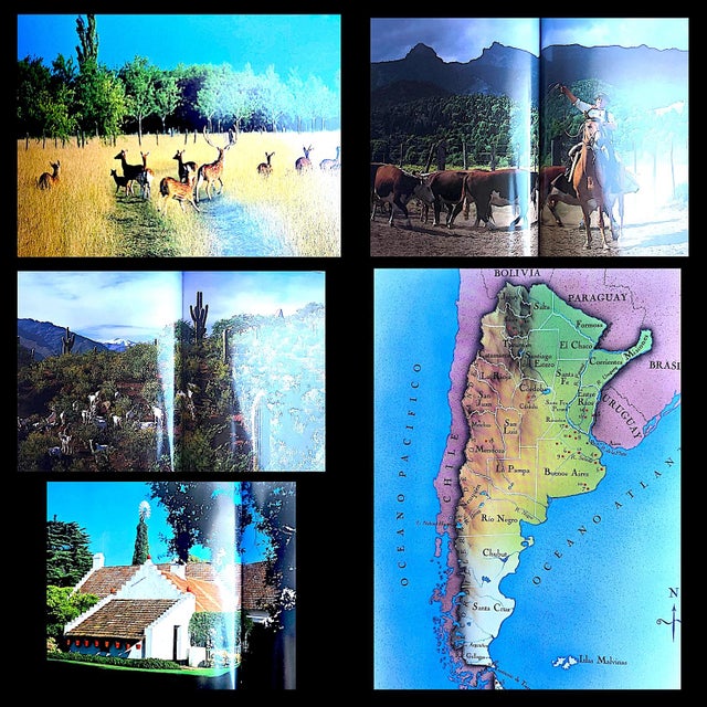 1992 1st Edition, "Estancias Argentinas", by Maria Saenz Quesada; Xavier Verstraeten (Spanish Edition) For Sale - Image 14 of 18