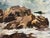 1960s F. Yayboke Turkish Coastal Seascape Signed Oil Painting, Circa 1960's For Sale - Image 5 of 12