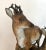 Late 19th Century Antique Bavarian Bisque Deer Lidded Dish For Sale - Image 5 of 13