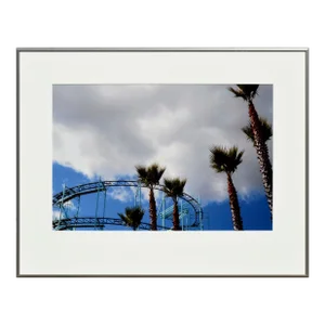The Palms at the Boardwalk - Santa Cruz Beach Boardwalk Color Photograph by Deborah Eddy