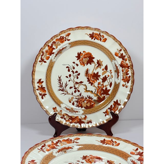 English Spode “Indian Tree” Vintage English Transferware Dinner Plates ~ Set of 5 For Sale - Image 3 of 4