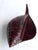 Vintage Hand Carved Ironwood Conch Shell For Sale - Image 12 of 17