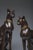 1970s Vintage French Bronze Cats, 1970, Set of 2 For Sale - Image 5 of 12