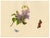 Louisa Hare, Butterflies on Lilac Flower, Watercolour For Sale - Image 3 of 7