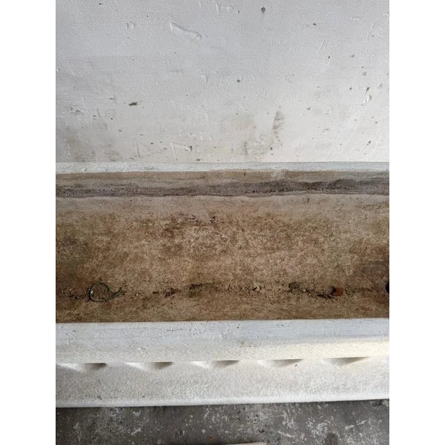 Sculpture Materials Mid-Century Modern Concrete Planter, 1960s For Sale - Image 7 of 16