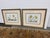 Realism Soicher-Marin Daffodil Botanical Art Print, Pair For Sale - Image 3 of 12