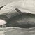 After Lilian Medland, Eider, 1909, Print For Sale - Image 6 of 8